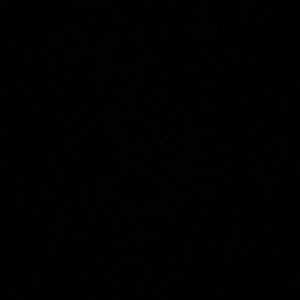 Meet your Posher, Jan